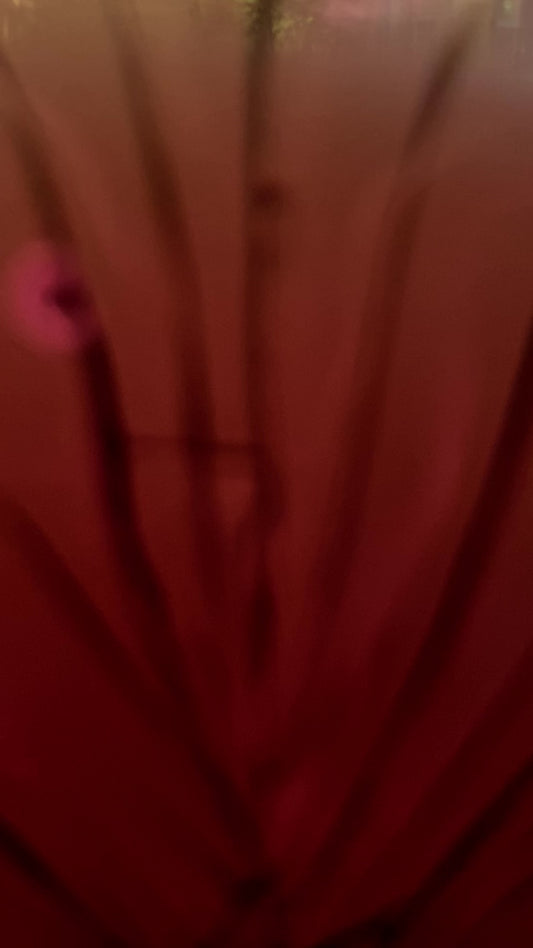 samouraï spiked ball